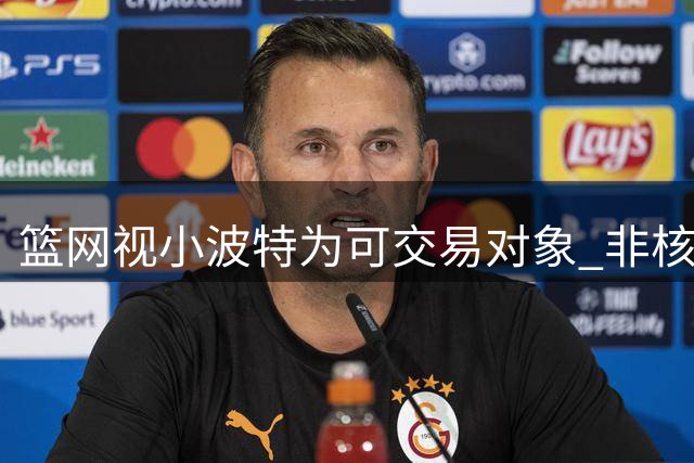 篮网视小波特为可交易对象 非核心球员